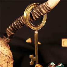 Collector's Key Dungeons & Dragons - Thieves Key to the Vault