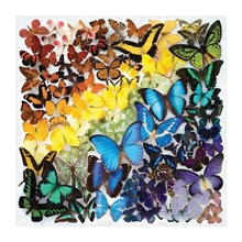 Galison Puzzle Rainbow Butterflies 500 pieces