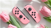 Nintendo Switch Joy-Con Pair Pastel Pink (SWITCH)