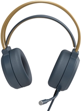 Harry Potter - Universal Stereo Gaming Headset (PC/PS4/PS5/X1/XSX/SWITCH)