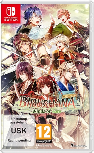 Birushana: Winds of Fate (SWITCH)